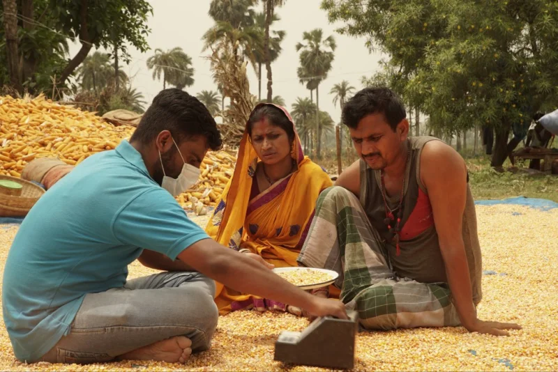 Падение мировых цен на урожай не помешало: Arya.ag привлекает инвесторов и остается в плюсе